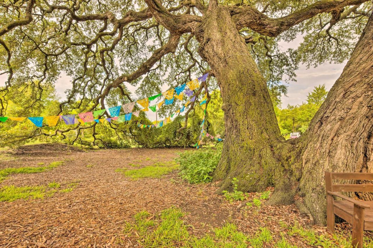 The Gathering Place Brenham Home On 6 Acres Esterno foto